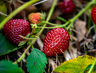 featured product image